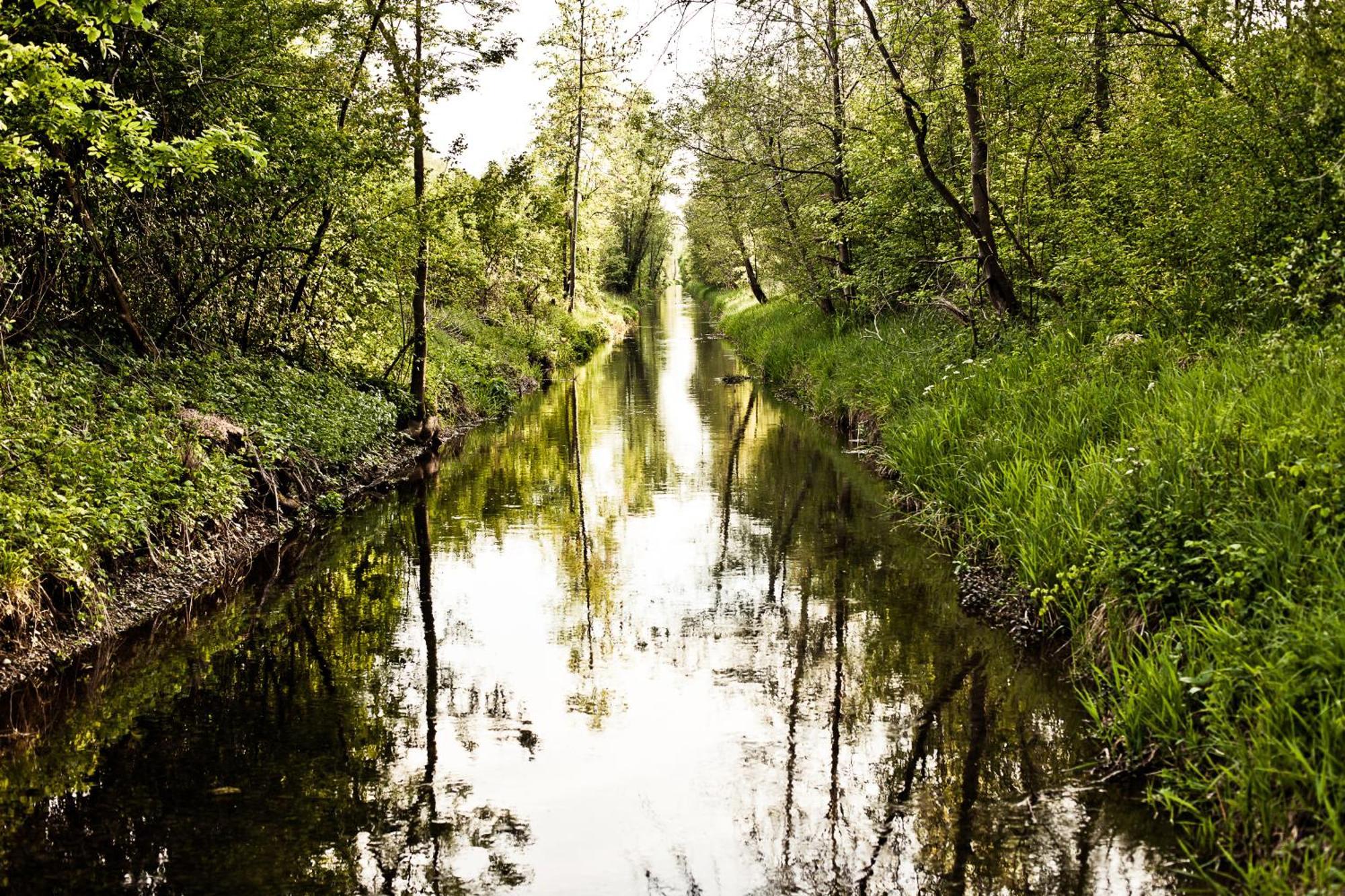 Appartementhaus Bavaria Bad Füssing エクステリア 写真